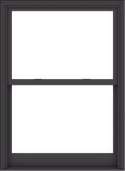 WDMA 44x60 (43.5 x 59.5 inch)  Aluminum Single Hung Double Hung Window without Grids-3