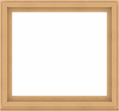 WDMA 56x52 (55.5 x 51.5 inch) Composite Wood Aluminum-Clad Picture Window without Grids-3