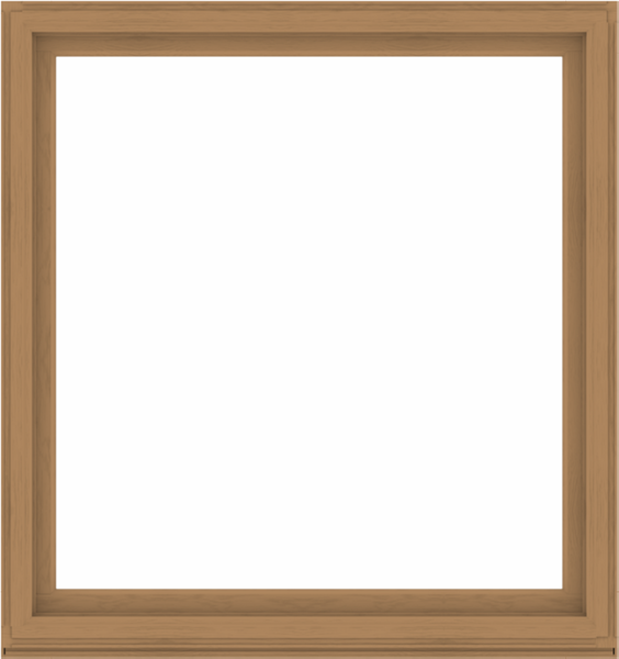 WDMA 64x68 (63.5 x 67.5 inch) Composite Wood Aluminum-Clad Picture Window without Grids-1