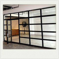 China WDMA Black Anodized Aluminum Frame Tempered Frosted Plexiglass/Glass Garage Door