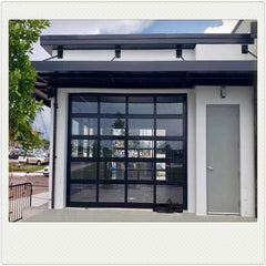 China WDMA Anodized Aluminum Frame Tempered Frosted Plexiglass/Glass Garage Door