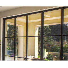 WDMA  Low-luxury Doluble hung  galvanized steel window frame iron window