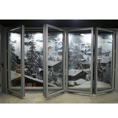 WDMA door Aluminum Folding Doors 