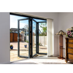 WDMA Aluminum Glass Folding Door